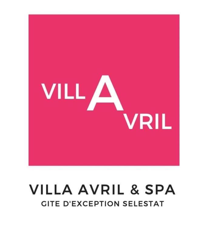 Gite Villa Avril Piscine- Jacuzzi- Sauna - 15 Pers-Proche Europapark Selestat Exterior photo